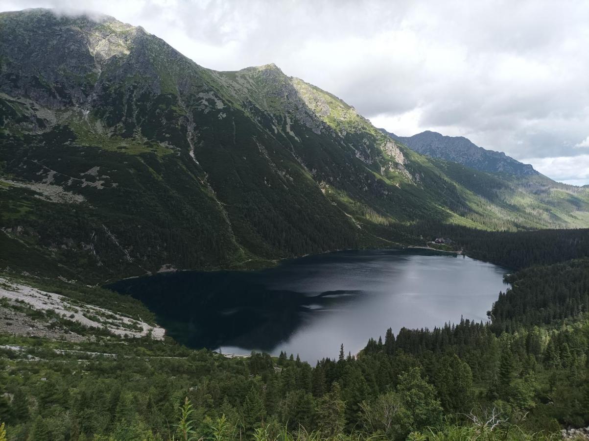 & # Sauna & Jacuzzi For Free # Restaurant 50m Zakopane